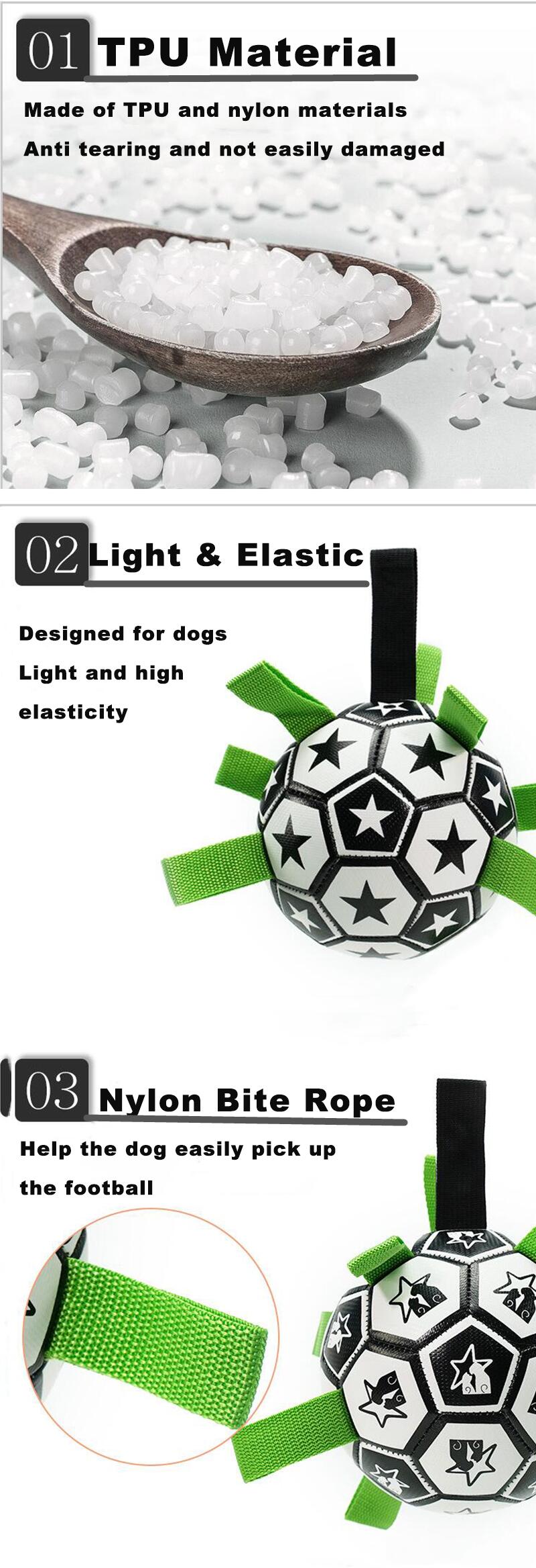 Dog football details 2.jpg